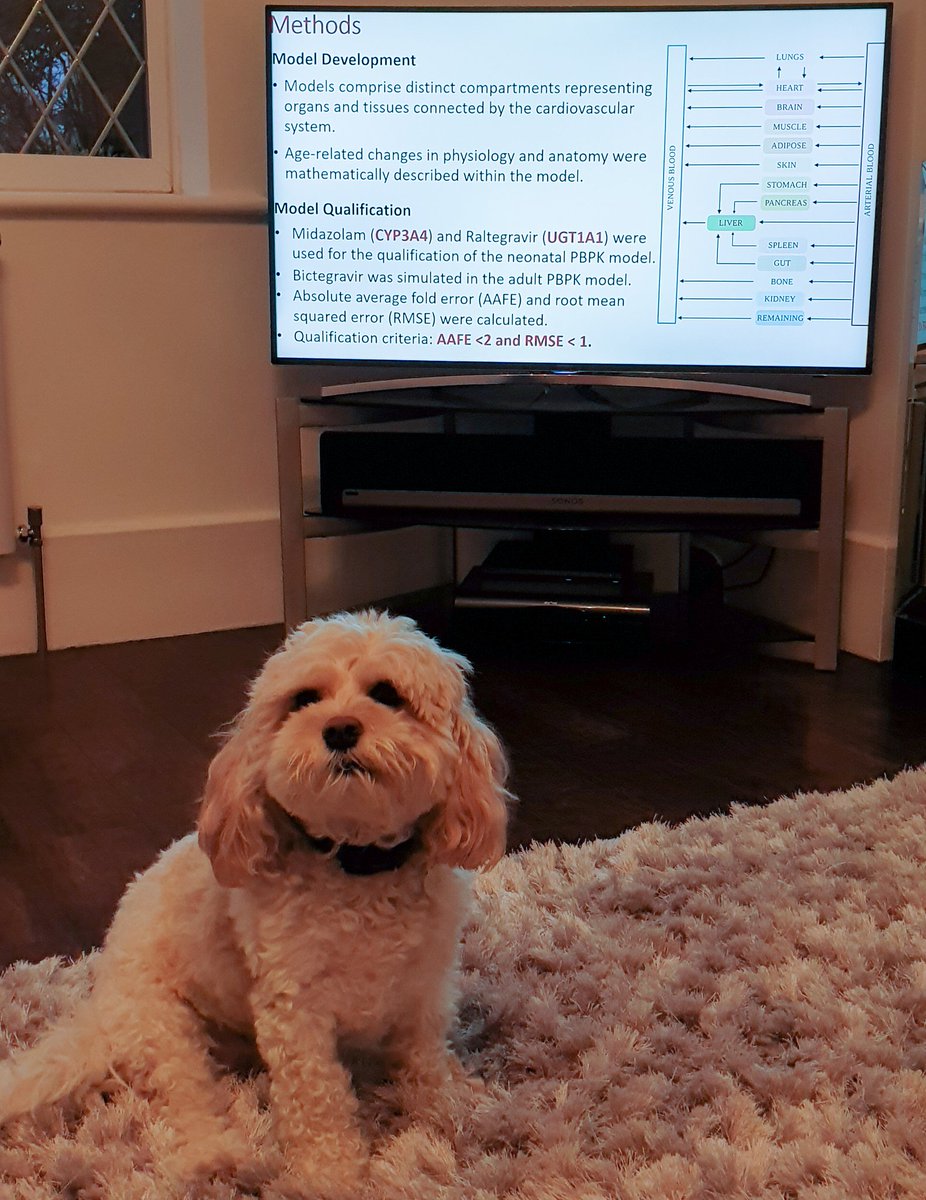 Alfie and I tuning into Fazila Bunglawala's #CROI2020 talk on the identification of age-appropriate dosing strategies of bictegravir in neonates! Well done!