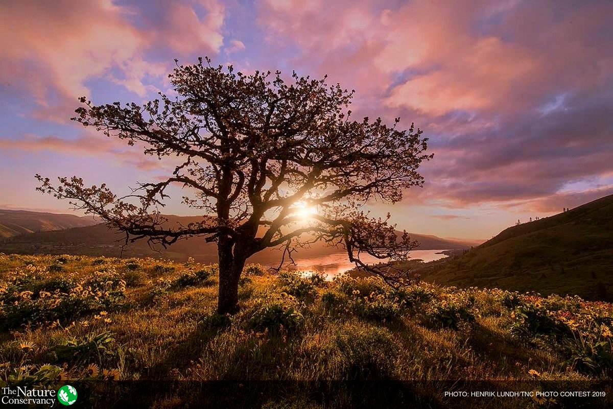 The Nature Conservancy in Oregon tweet media