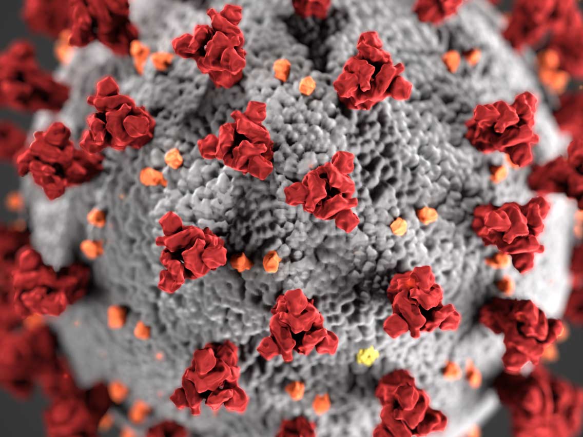 iPhone_FAQ's tweet photo. Can I catch coronavirus / COVID-19 from my iPhone / smartphone?

Useful information on how long coronavirus can survive on your phone, and best practices to prevent the spread of COVID-19 in your community.

https://t.co/6rNLAcUG6g

#coronavirus #covid19 #CoronaVirusUpdate https://t.co/hAv4Bc8Kta