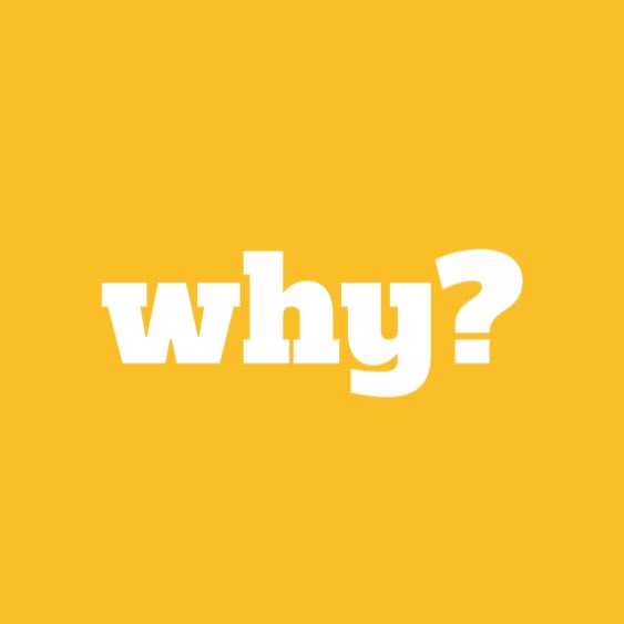 Kathryn Grace (she/her) 💙💚🕊 tweet media