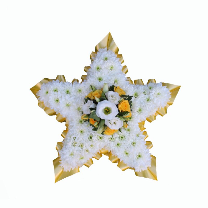 pick_a_posy's tweet photo. Gorgeous tiny star ⭐️ a perfect dainty tribute. 

💻 https://t.co/tr49g5r5Sp 
#star #twinkletwinklelittlestar #strood #rochesterflorist #medwaytowns https://t.co/8kw2E6jy0E