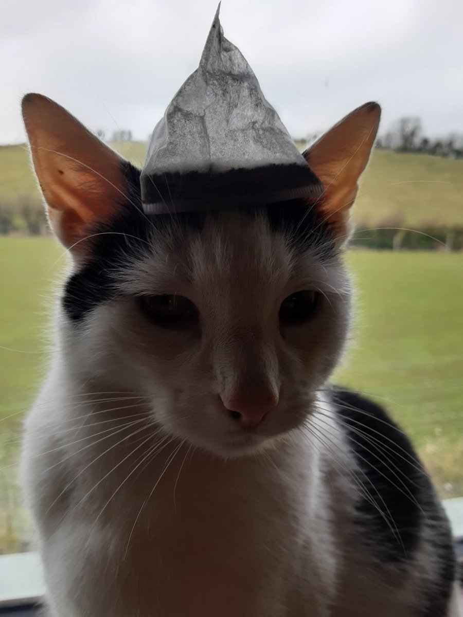 TomtomThat's tweet photo. Take me to your leader👽😸👽
And don't 'tea leaf' me waiting
#tomtomtime https://t.co/DU1Hp7QeQp