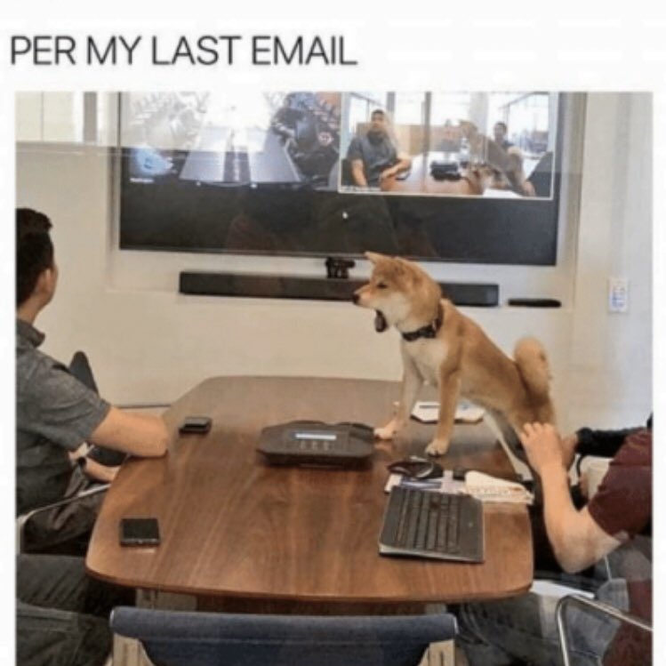 Good Boy Dogs Know Your Meme