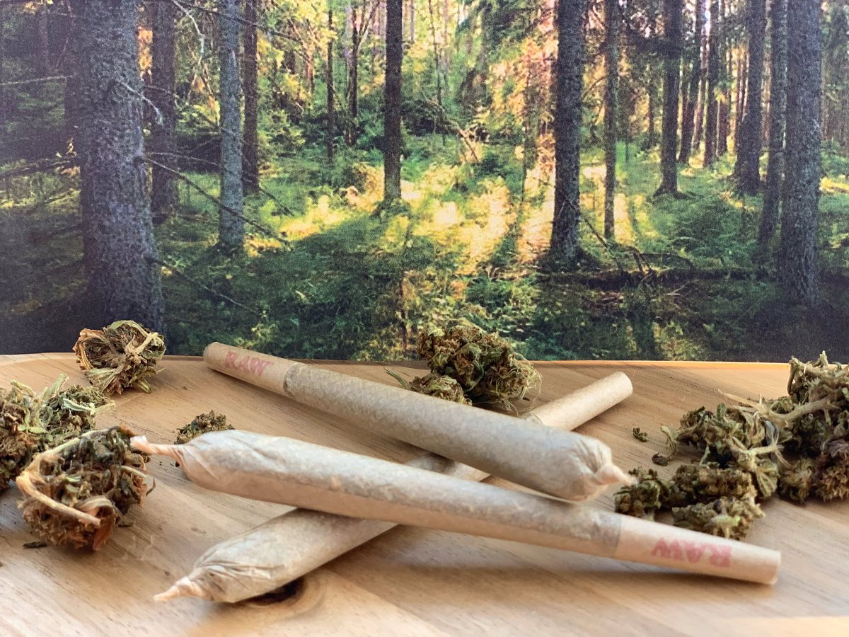 holisticgreen19's tweet photo. ** FOR A LIMITED TIME **
Come to Holistic Green and get our Adventure pre roll for 2/10!! See you there!! #cbd #cbdproducts #cbdoil #cbdwi #cbdwisconsin https://t.co/MO34vFsHy0