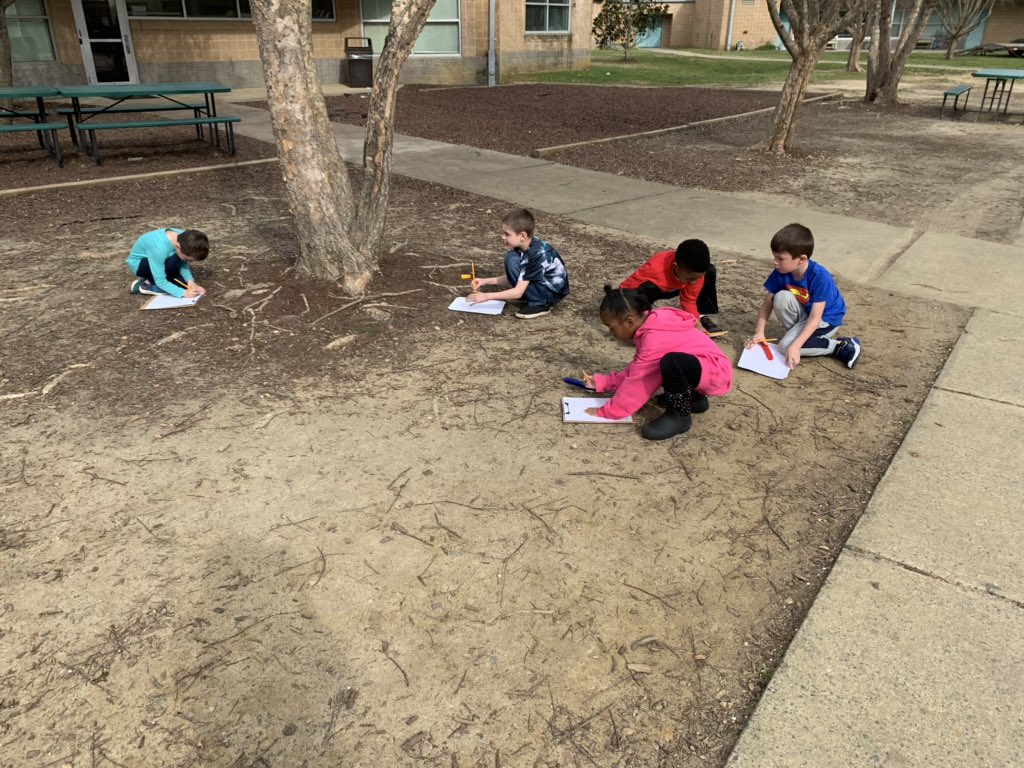 Kindergarteners using non standard measurement to explore how things grow!