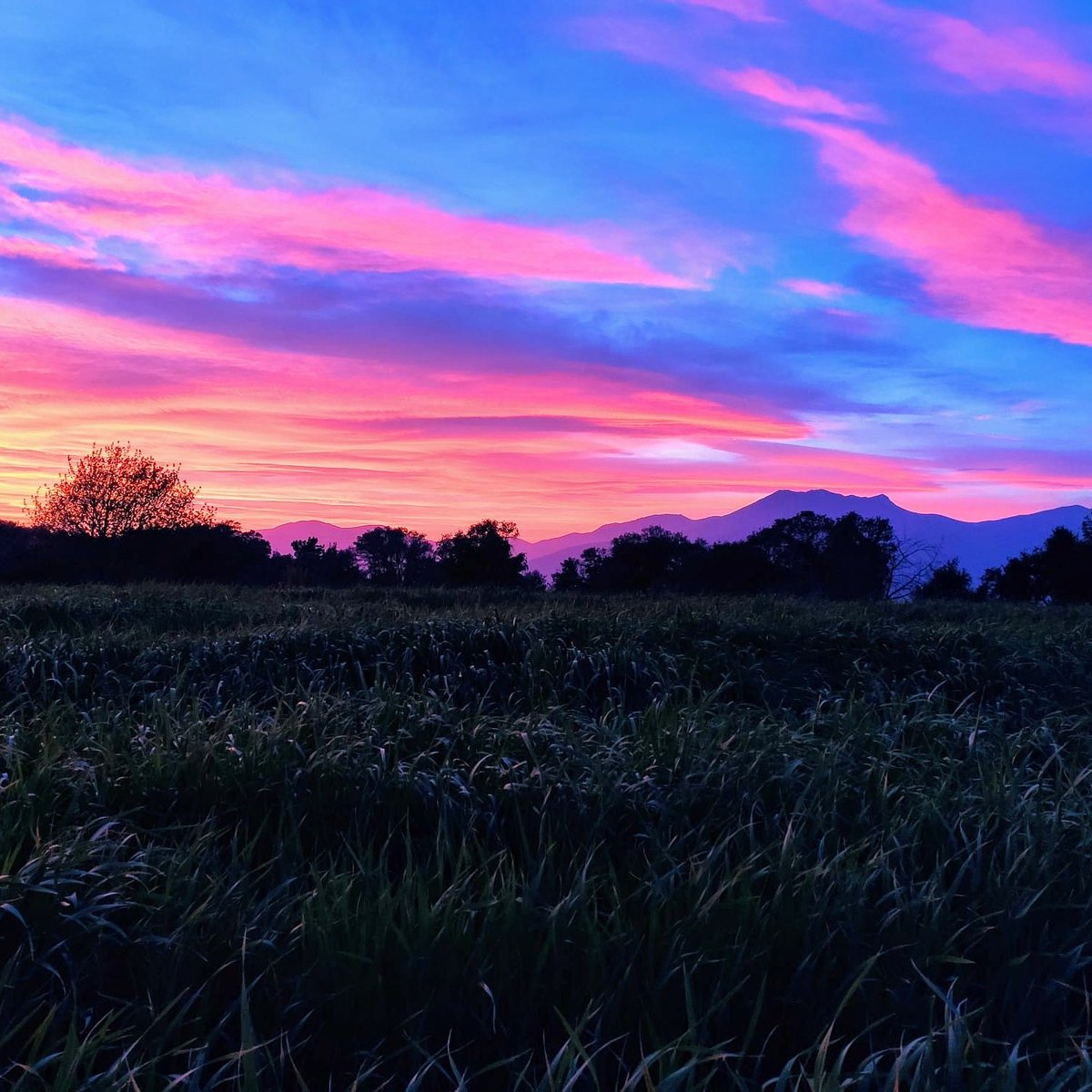 m_ariza5's tweet photo. El Montseny vist des de Vallgorguina @eltempsTV3 https://t.co/KlhvzLHcwI
