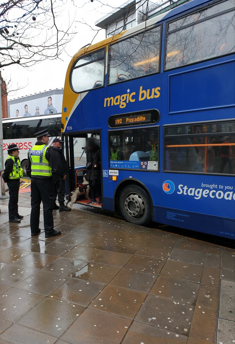 GMPCityCentre's tweet photo. #TRANSPORTUNIT & @GMPDOGS have today patrolled @mcrmetrolink @stagecoachGM supported by @officialTFGM. #TEAMWORK #travelsafepartnership #PoliceDogRocky https://t.co/SoYUmL6ic2