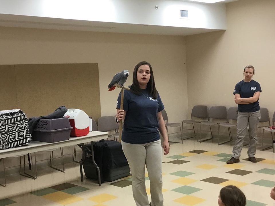 stmschoolatown's tweet image. #STMlearning This morning, the Lehigh Valley Zoo visited Mrs. Lett's First Grade Science class! Our students have been learning about  different animal groups. The children loved seeing the animals, especially the penguin! #STMexcellence #theSTMdifference ❤️🖤🐧