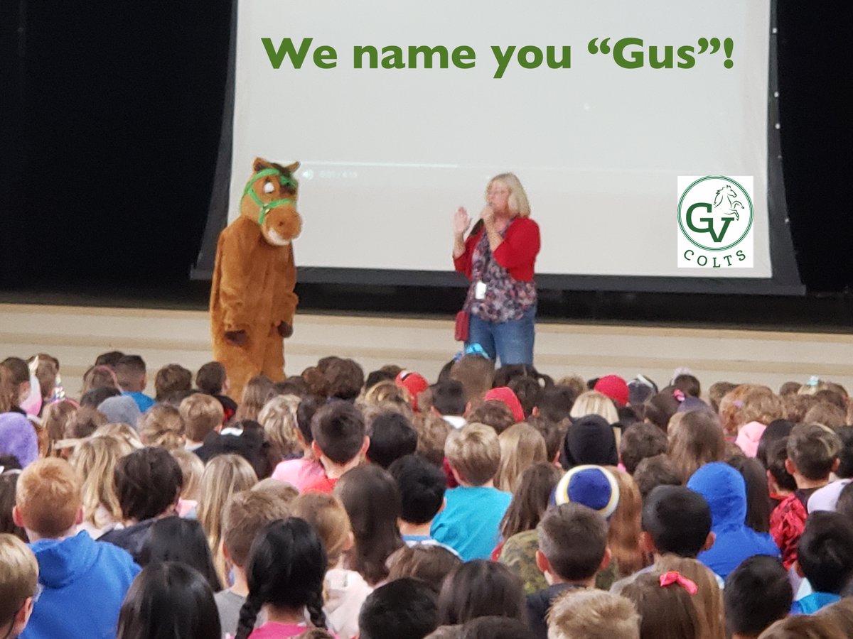 gvescolts's tweet photo. More great news: Our new mascot official name is GUS! This stands for "Green Valley United and Strong". We learned a new song from Ms.Lim to show our school spirit! https://t.co/UsUo3l0PBl