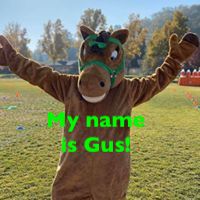 gvescolts's tweet photo. More great news: Our new mascot official name is GUS! This stands for "Green Valley United and Strong". We learned a new song from Ms.Lim to show our school spirit! https://t.co/UsUo3l0PBl