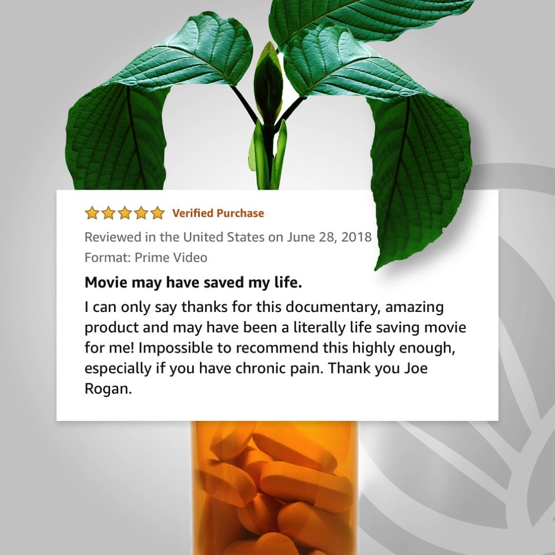 UI_Organics's tweet photo. Have you watched A Leaf of Faith? https://t.co/HOnnos61NN