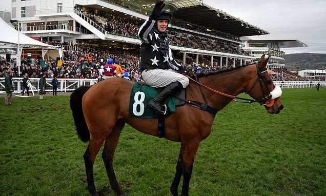 Matthew Nicholls tweet media