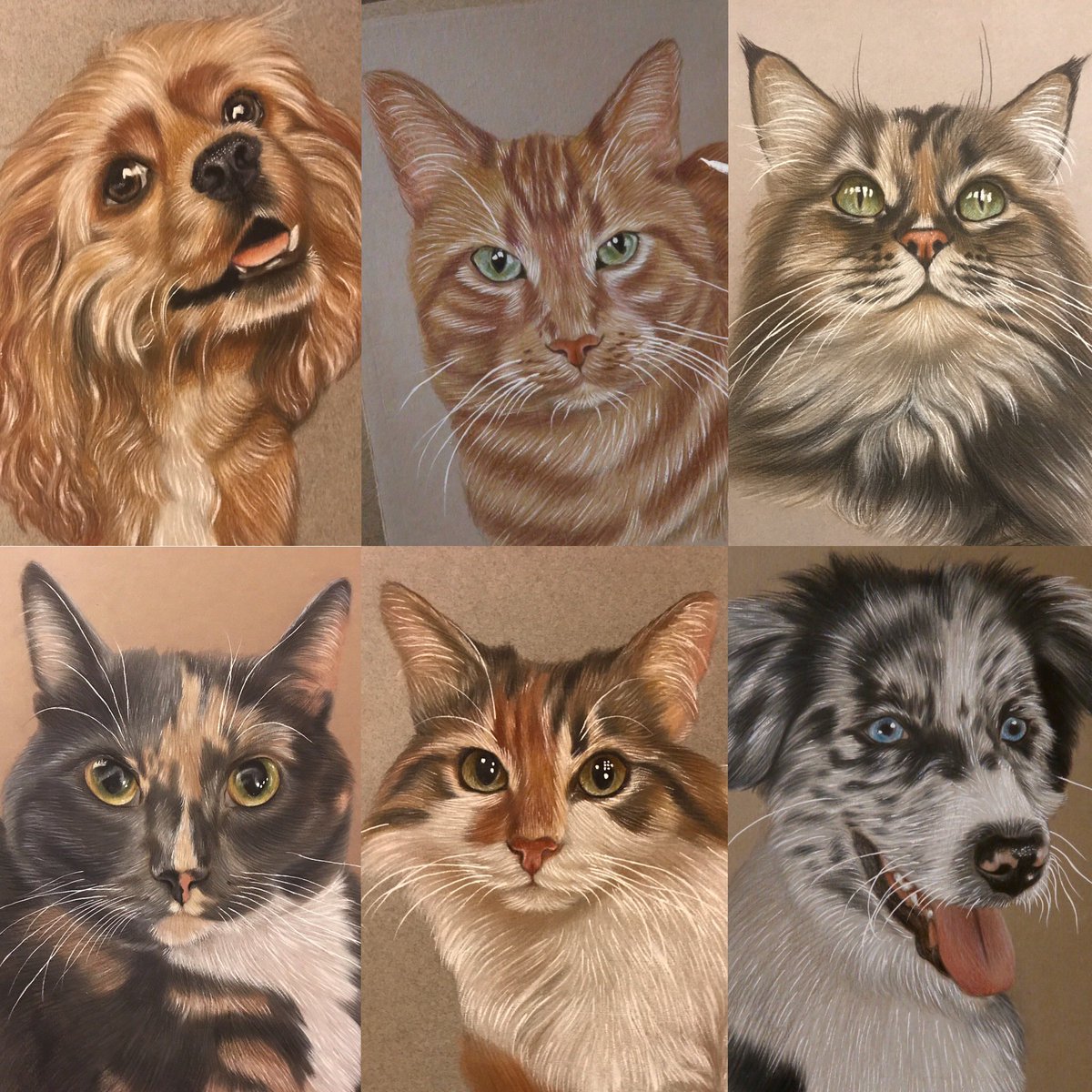 theraviosart's tweet image. Going through a dry spell with my art business and could really do with a boost. 

I draw pet portraits for a living - cats, dogs, hamsters, rabbits etc. All of my portraits are hand drawn with care and quality!

I ship internationally! 🌎

So Twitter pease do your thing 🙏🏽