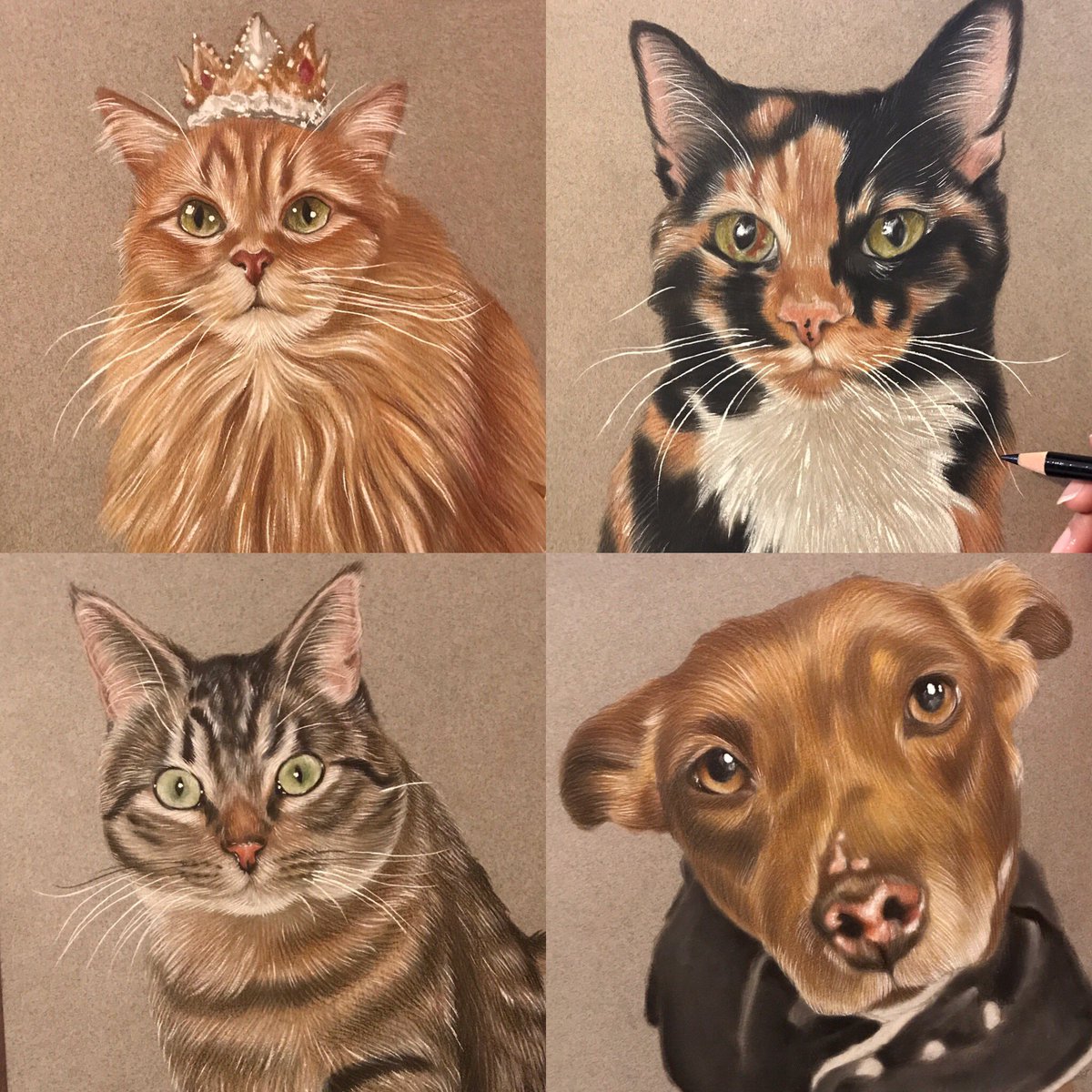 theraviosart's tweet image. Going through a dry spell with my art business and could really do with a boost. 

I draw pet portraits for a living - cats, dogs, hamsters, rabbits etc. All of my portraits are hand drawn with care and quality!

I ship internationally! 🌎

So Twitter pease do your thing 🙏🏽