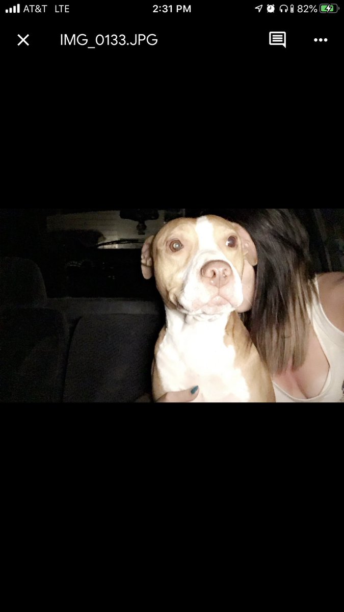ktownsend5630's tweet photo. Anyone in the Blytheville/Gosnell, AR area: looking for a Red Nose Pit Bull Terrier, who goes by the name Diego. His POS owner who had him for about 8 yrs just left &amp; abandoned him in the middle of nowhere down there. Anyone with any kind of info can message me. 🖤 https://t.co/YePzG6VWoT