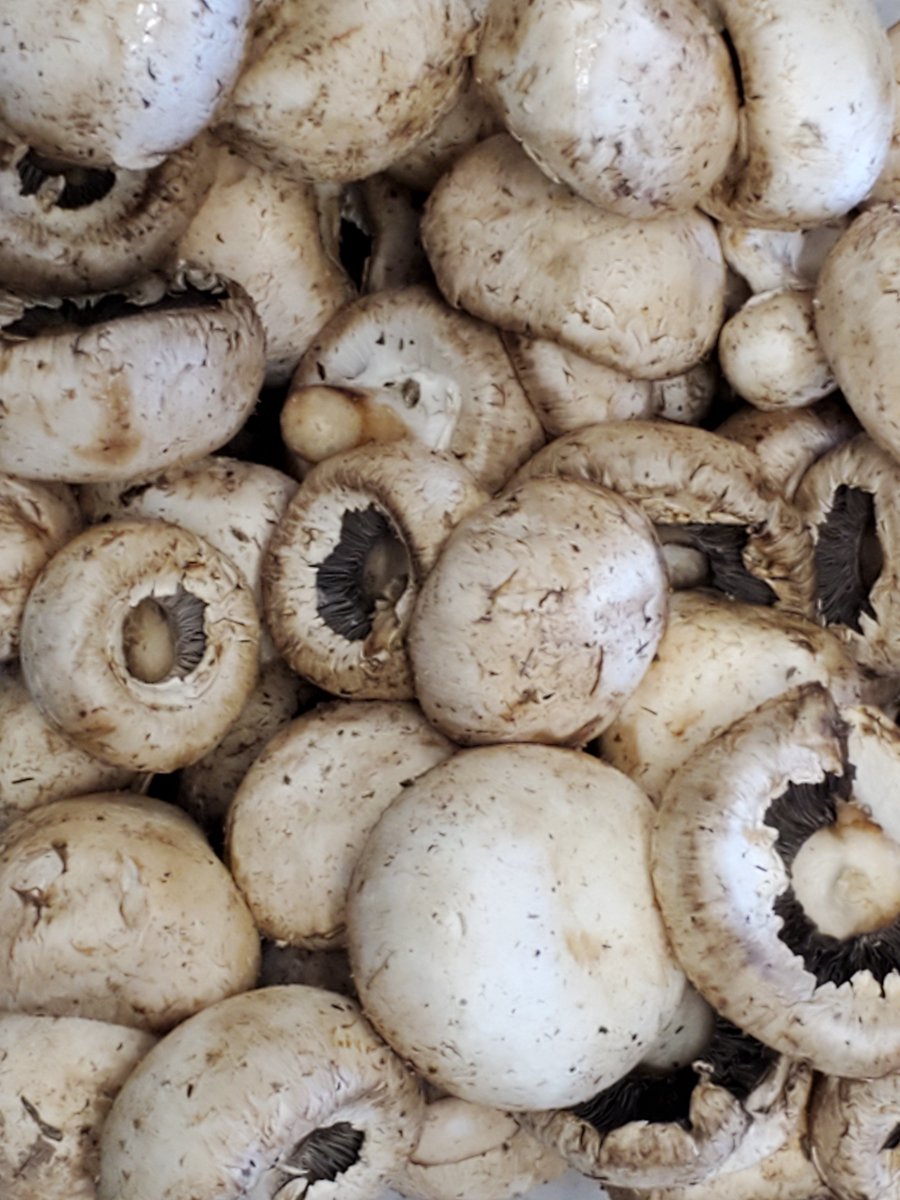 Fresher Sacramento tweet media