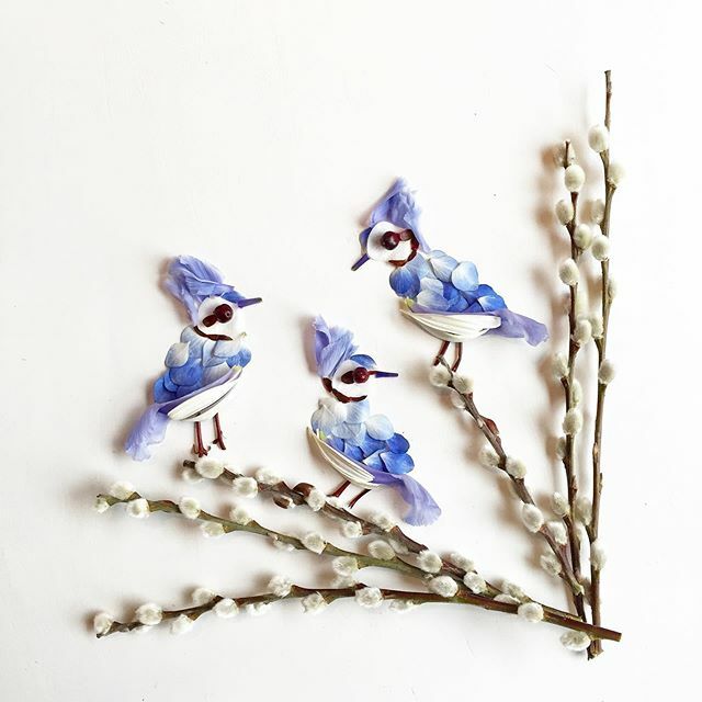 New in my shop! Blue Jays 💙Floraforager.com ift.tt/3cKcOoJ