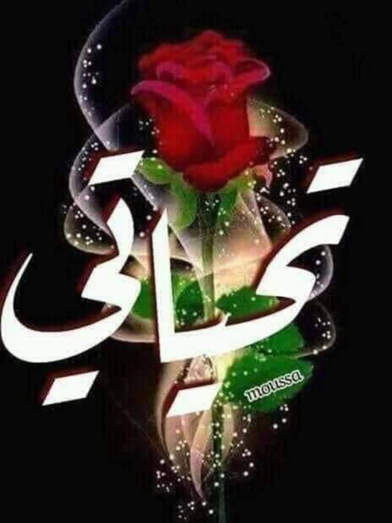 _Z74_'s tweet photo. @trfgd233 كل الهلا بيك صديقي الغالي 🌹
وبكل اهل مصر ام الدنيا https://t.co/8tQNckT2Ph