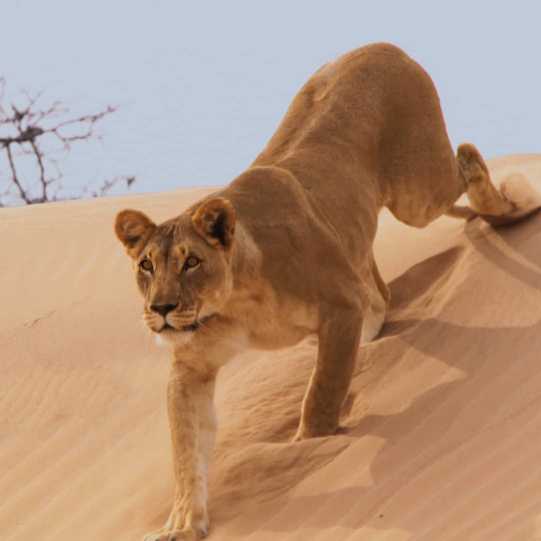 Leeds Marriott Hotel tweet media