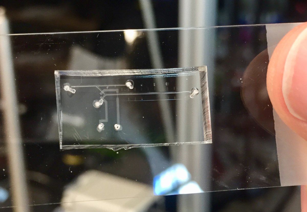 ASCBiology's tweet photo. Checking in with another collaborator! Alex is a student with Scott Manalis and develops microfluidics to detect and sort fluorescent cells. See what this little chip can do here: https://t.co/rRkr4o2jTC
#ASCBTrainee #takeovertuesday #academicchat @timisstuck https://t.co/O2OgXdIRbw