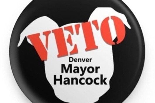 HighPibble's tweet image. We've raised $110 so far! Please support my GoFundMe campaign: gofundme.com/f/mile-high-pi… @gofundme