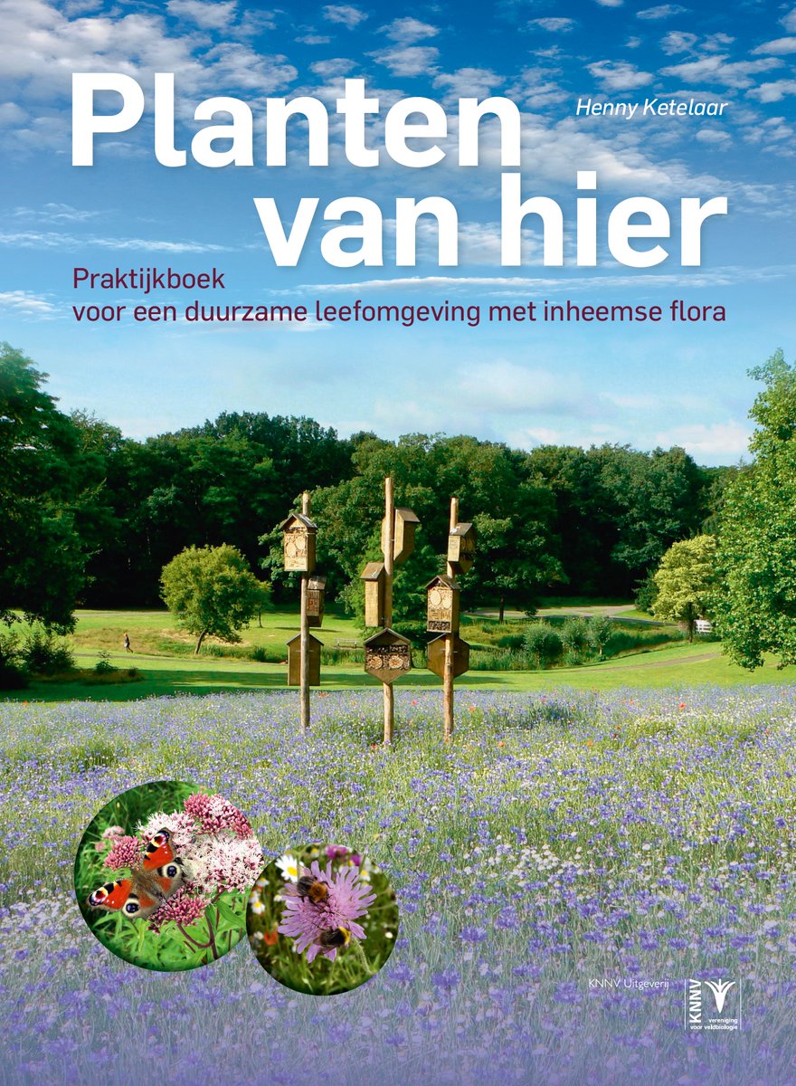 NLBloeit's tweet photo. @cruydthoeck @gem_Nijmegen  De in oktober ingezaaide #bloemenweide in het #Goffertpark ligt er fantastisch bij. Wij verwachten eind mei al de eenjarige soorten in bloei. Het Goffertpark is een prachtige plek voor de bijzondere inheemse flora 😀 #plantenvanhier #loveplants https://t.co/xEFxdbCXey