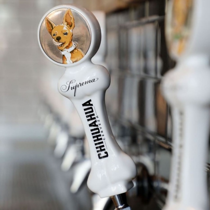 Blue Dog Beer Tavern tweet media