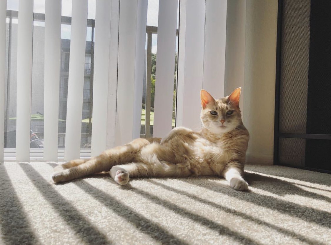 “Paint me like one of your french girls” -Miss Penny Lane