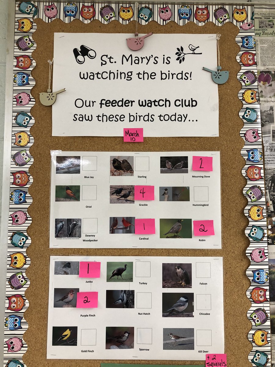 St. Mary's Falcons tweet media