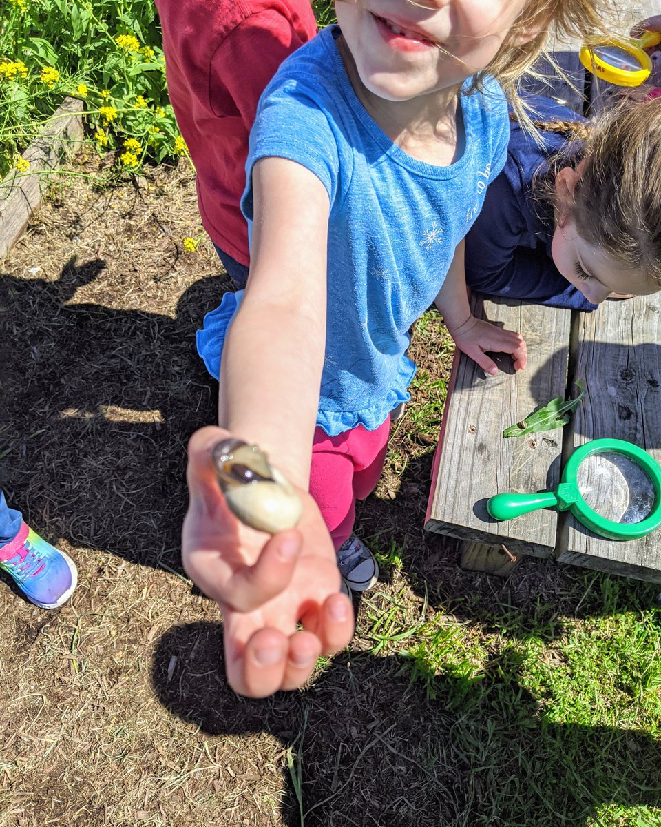 peas_community's tweet photo. Hunting for signs of spring! ๐๐ฆ๐ป๐ผ
#spring #snail #flowers #pollinators #peas #peascommunity #peasfarm #education #agriculture #sustainability #outdooreducation #prek @Cobras_PTA https://t.co/O6vCdQd8oU