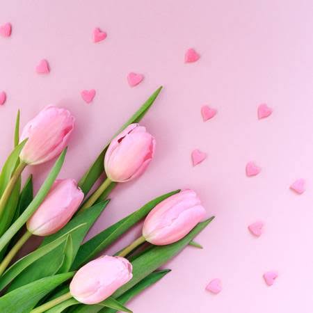 marizulca's tweet photo. @HaiydiB Thank you from my heart 💗

My dear friend 🙏 https://t.co/kSx8OnX2lX