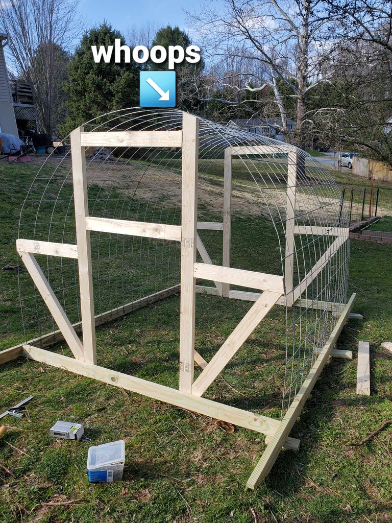 trapper831's tweet photo. #whoops #diy #cattlepanel #greenhouse 
Tomorrow I'll try to make a door, a window  and cover it
I never said I was perfect https://t.co/nrUNlH9o52