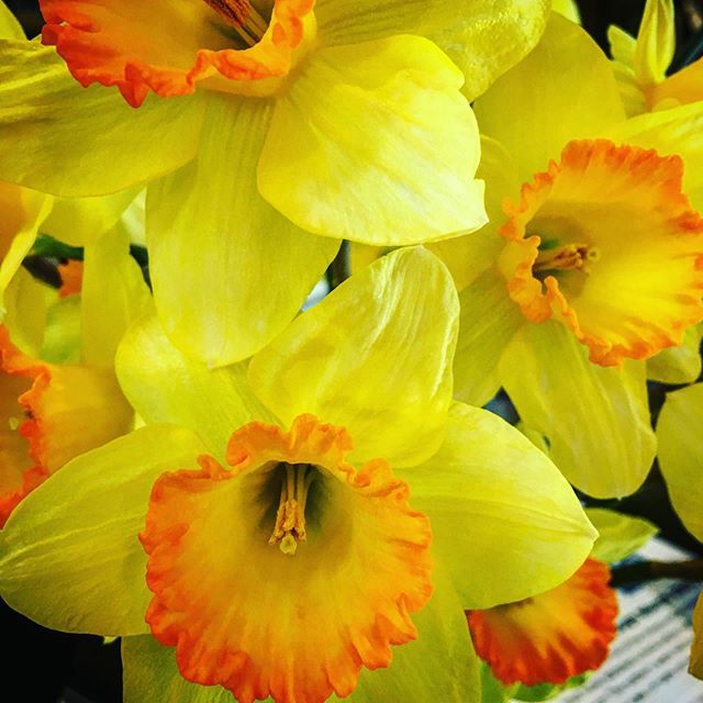 Spring is here!!! Be sure to come by and see us!!!