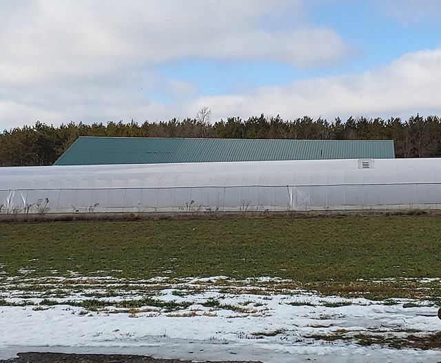 our springtime view : the new building &amp; a greenhouse &amp; a field of cover crop! soon enough the building will be home to our new microgreen operation; the greenhouse will become home to our summertime tomatoes &amp; the field will be cultivated for vegetation… ift.tt/2Wd2uQz