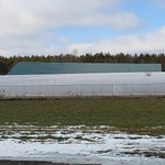 Photo by CookstownGreens (@CookstownGreens)