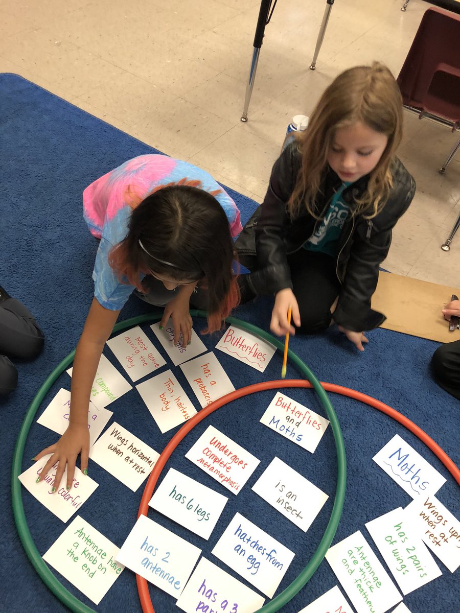 Danatwalker's tweet photo. Our unit workstations were a hit today! Mystery Science experiment, vocabulary concentration game, comparing butterflies and moths, making movies on Brain Pop, and completing a butterfly clever catergories chart we’re on the agenda. These students love learning! @CMCSIWarriors https://t.co/eqMhknyTYr