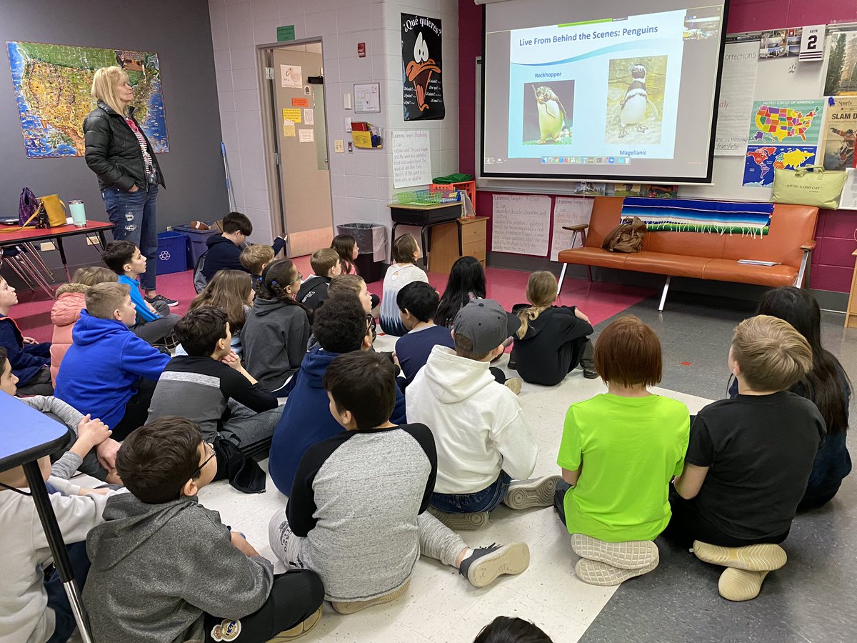 katiebillie_'s tweet photo. Thank you @shedd_aquarium for showing our #62Intersession kids around the penguin exhibit today! The kids loved learning and asking questions about penguins! #62Learns #62ICS https://t.co/mjEKpQjeH2