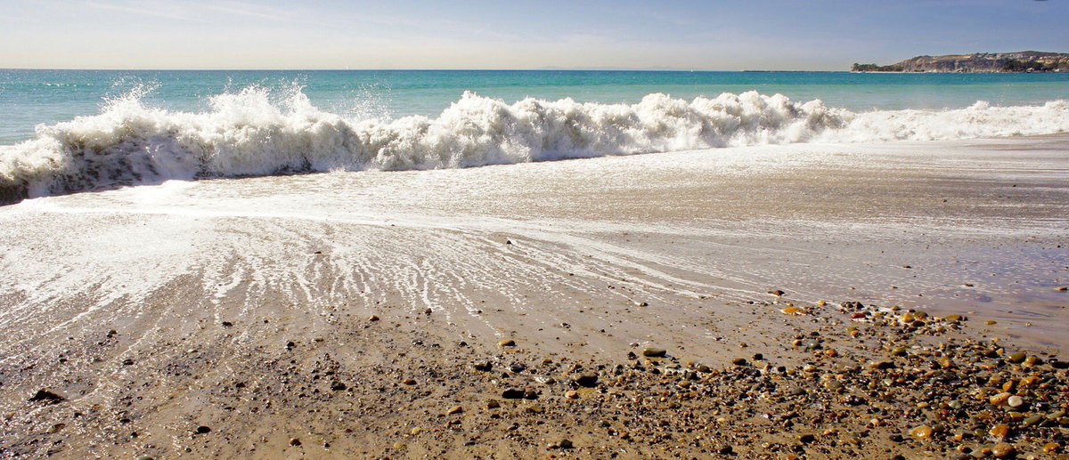 Bethany Gerhardt tweet media