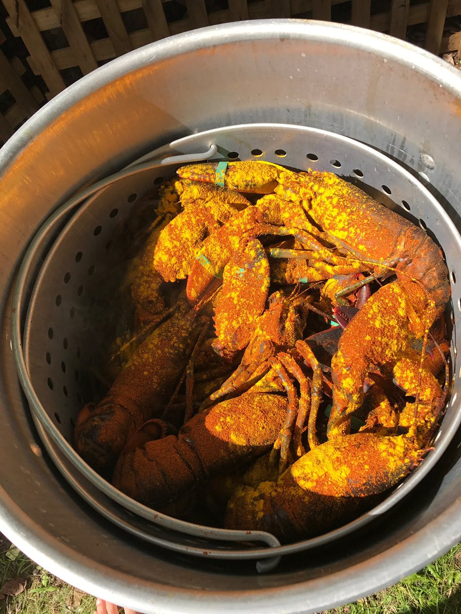 StoreTurmeric's tweet image. Cooking with turmeric and adding it to your everyday food. Turmeric with sauerkraut, turmeric On lobster, turmeric on salad and Turmeric on French onion soup. There are many ways to add turmeric to your diet. #cookingwithturmeric @StoreTurmeric @TurmericBoss