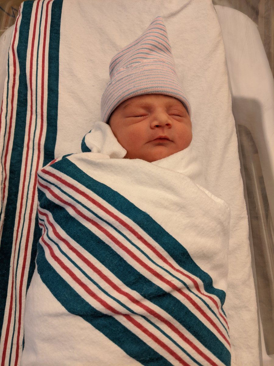 Alexis Irmen on Twitter: "CONGRATULATIONS!!! I KNEW SHE WAS GOING TO BE