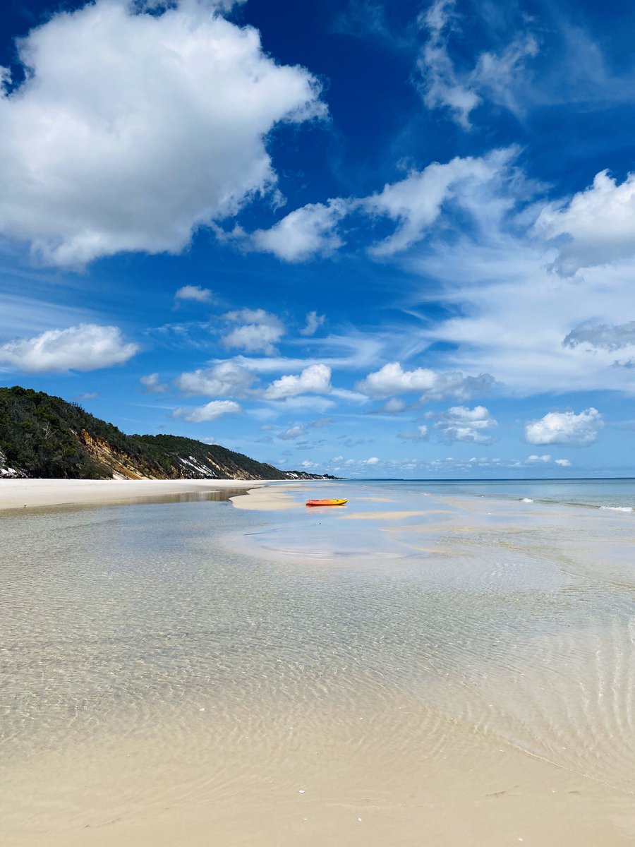 Tasman Venture tweet media