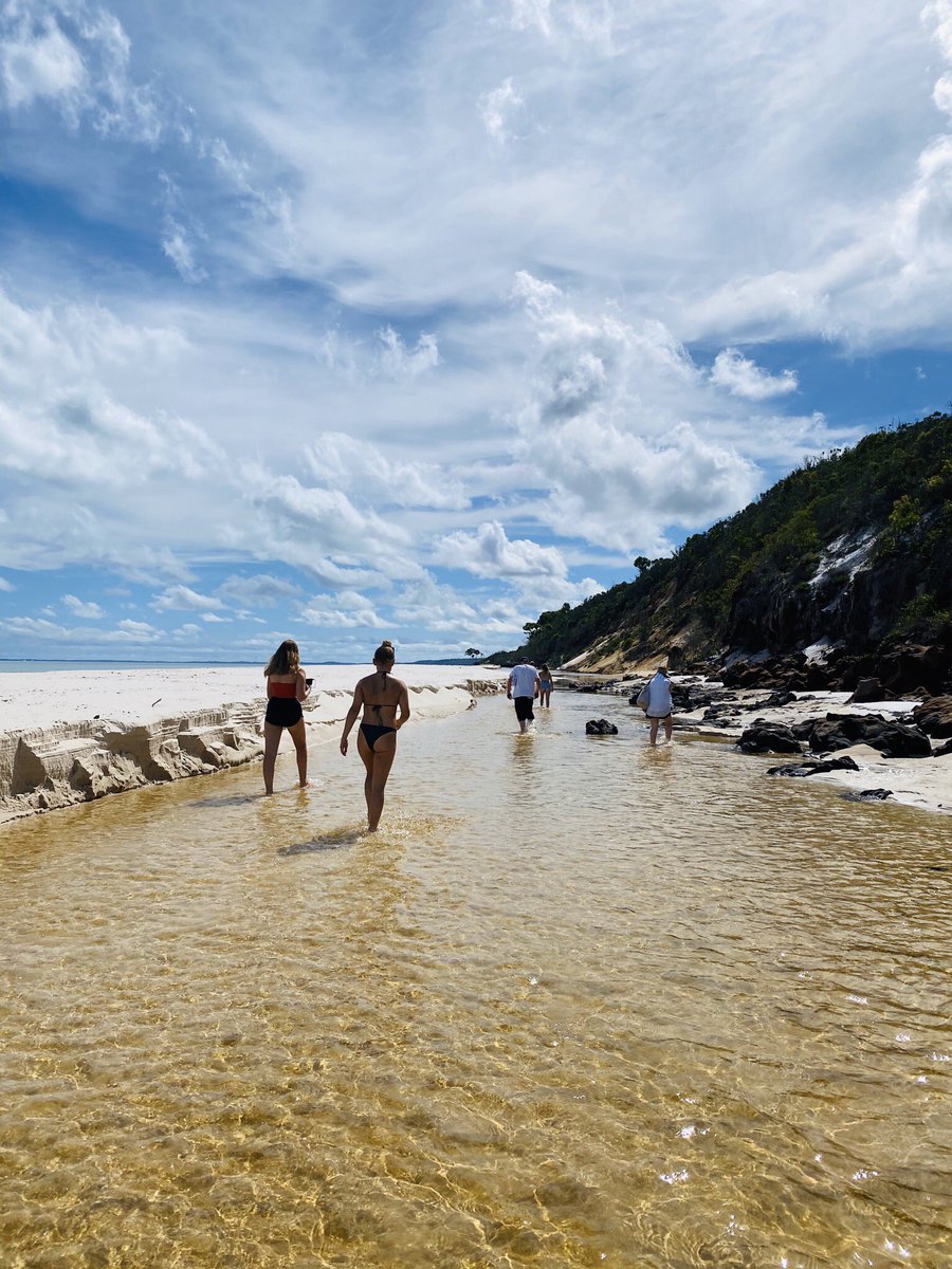 Tasman Venture tweet media