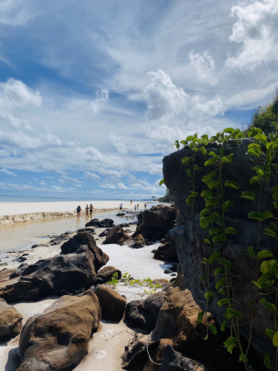 Tasman Venture tweet media