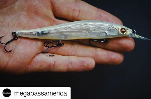 theoMBusa's tweet photo. #Repost @megabassamerica (@get_repost)
・・・
Another look at the 🏆#BassmasterClassic winning lure 🏆 .
.
👉 Tag us in your most epic Vision Oneten photo with the hashtag #undisclosedjerkbait for a chance to win a kit of limited Classic releases from … https://t.co/s2EvUMrtLh https://t.co/hnqBH8cABg