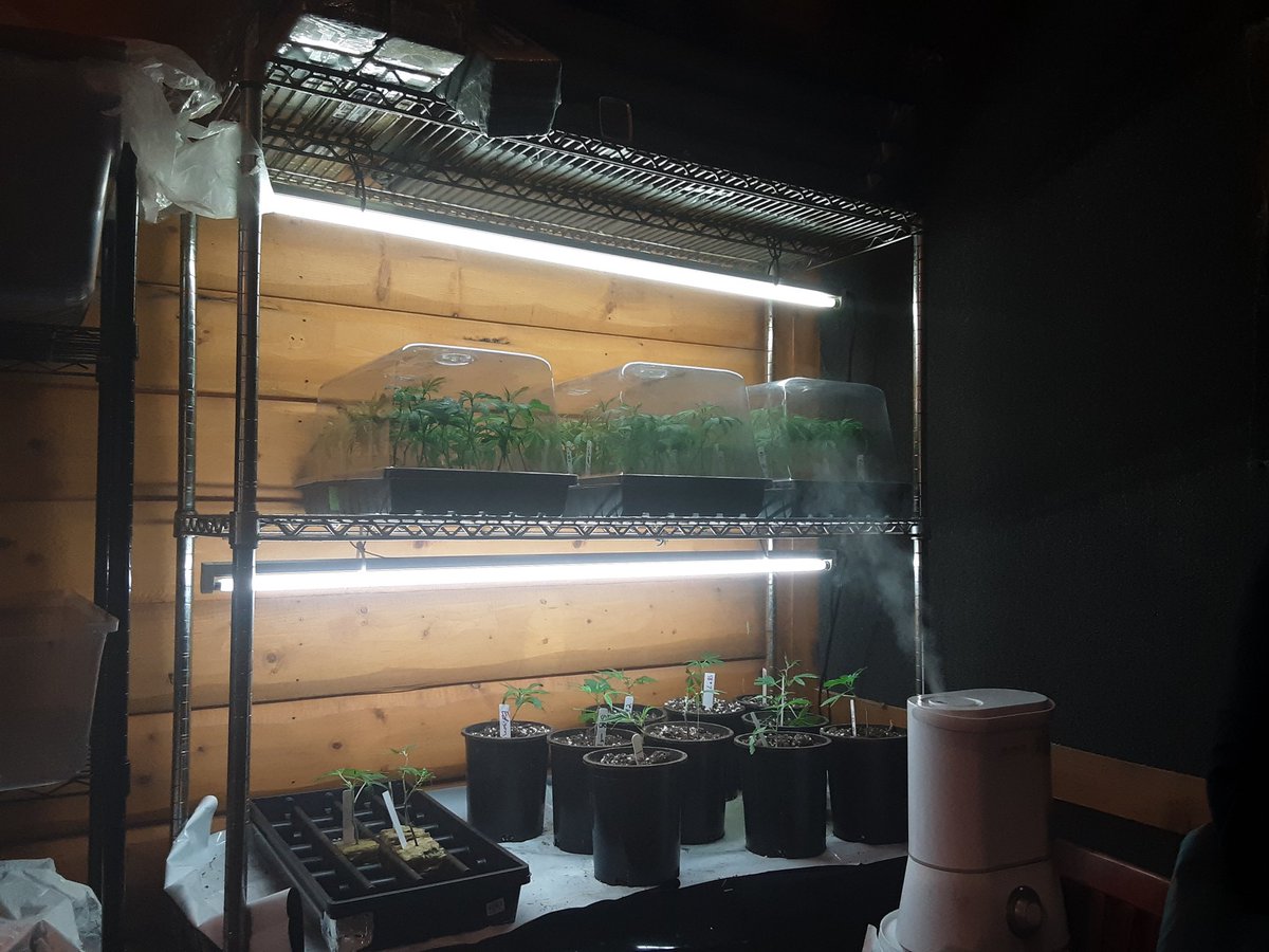 dtropp's tweet photo. Learning from hemp pioneers at Banner Harvest, part of #LiveLocal2020 Farm to Fork tour in central IL: growing, processing and selling at retail under a rapidly shifting policy environment https://t.co/e2EGrwpz9i