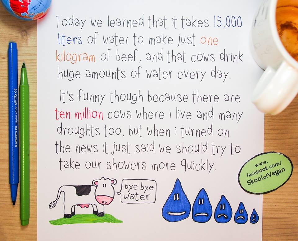 VeganFallacy's tweet photo. Happy 10th of #EnvironMarch!
Explaining the issues from a child-like POV does a good job of showing how nonsensical the claims are.
#SkoolOfVegan #shortshowers #energyefficientlightbulbs #environment #YourVeganFallacyIs #AnimalRights #SocialJustice #Vegan https://t.co/fUatA1PMde