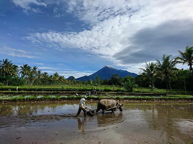 Merapi itu baik,
Merapi itu cantik,
Merapi itu penghidupan,
Merapi itu rumah.
Apa makna merapi buat kalian sluuur?

Foto from @andi_ferdana

#inicangkringan

_____________________________________________
Follow dan Tandai <a href="/IniCangkringan/">Ini Cangkringan</a>.
Gunakan Selalu hashtag #IniCangkring…