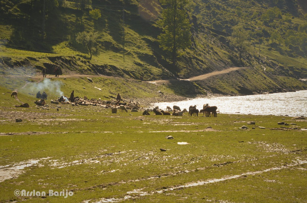 arslanbarijo's tweet photo. #NeelumValley #Kashmir #Pakistan  #TravelPakistan #BeautifulPakistan #Travel  #TravelDiary #PhotoBlogger #Photo  #Wanderlust #Traveller  #Blogger #Storyteller #photography #discoverpakistan #StoriesofPakistan #shutterpakistan #travellersofPakistan  #Pakistanisflying #PakistanIs https://t.co/wgRATXt8Ii