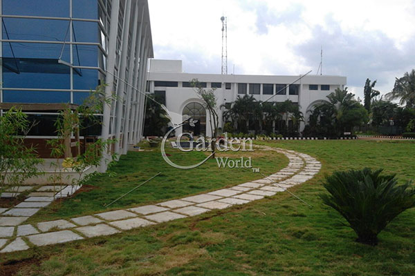 GardenWorld1's tweet photo. #landscapedesign 
Landscaping for Commercial projects Farm Houses Industries Public Spaces Real Estate Residential #RoofGarden #resortlandscaping #Landscape &amp; #GardenMaintenance #SEZ landscaping design #plantsnursery Garden UPVC Lattice #VerticalGarden
https://t.co/mmPc9BzBU3 https://t.co/p5jo9N2cMx