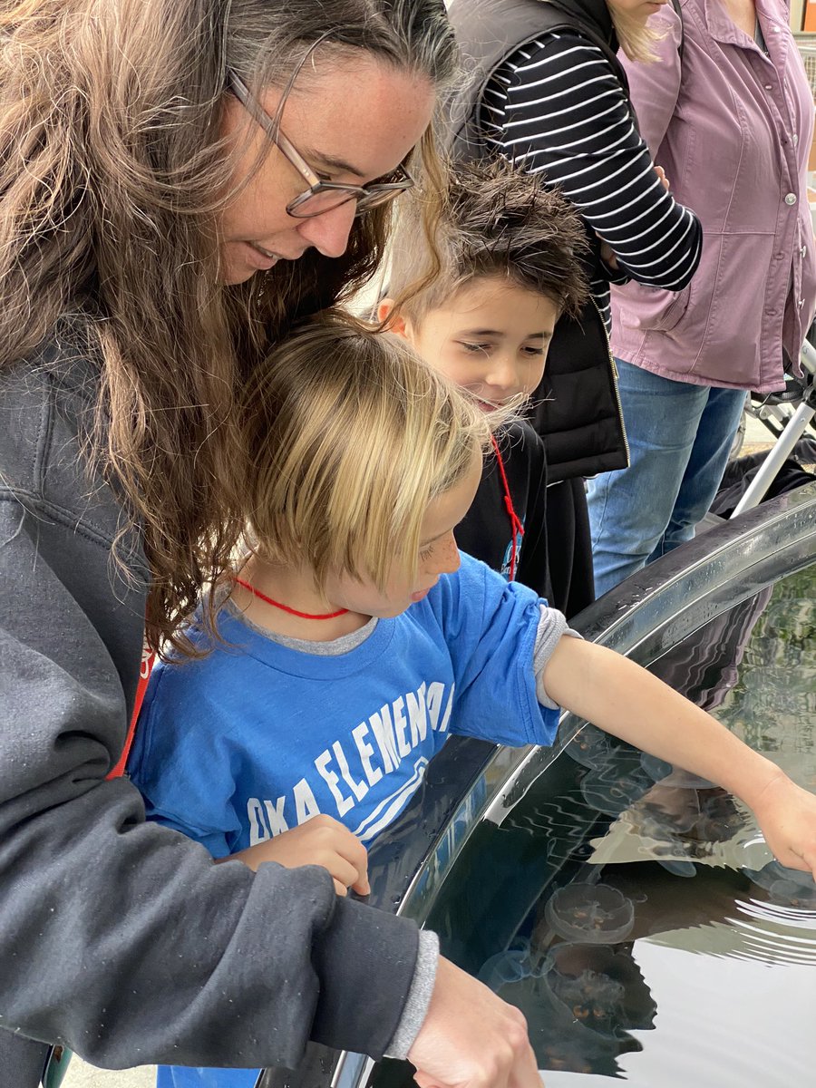 randi_hubbard's tweet photo. Loving our day at the Long Beach Aquarium! Thank you, Oka PTO, for always supporting our students! @OkaWolfpack #TheFVSDWay https://t.co/dq5PipgNL2